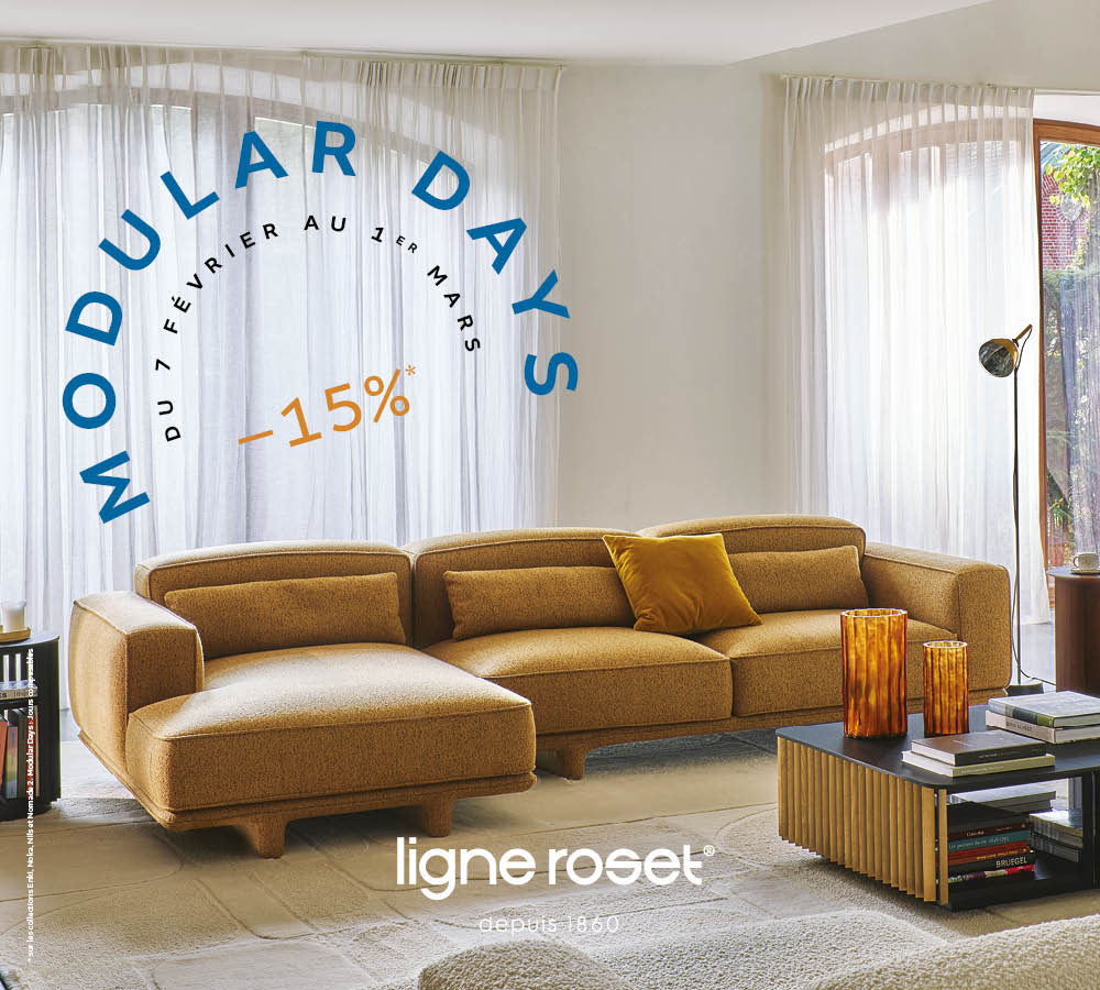 Modular Days - Image 1